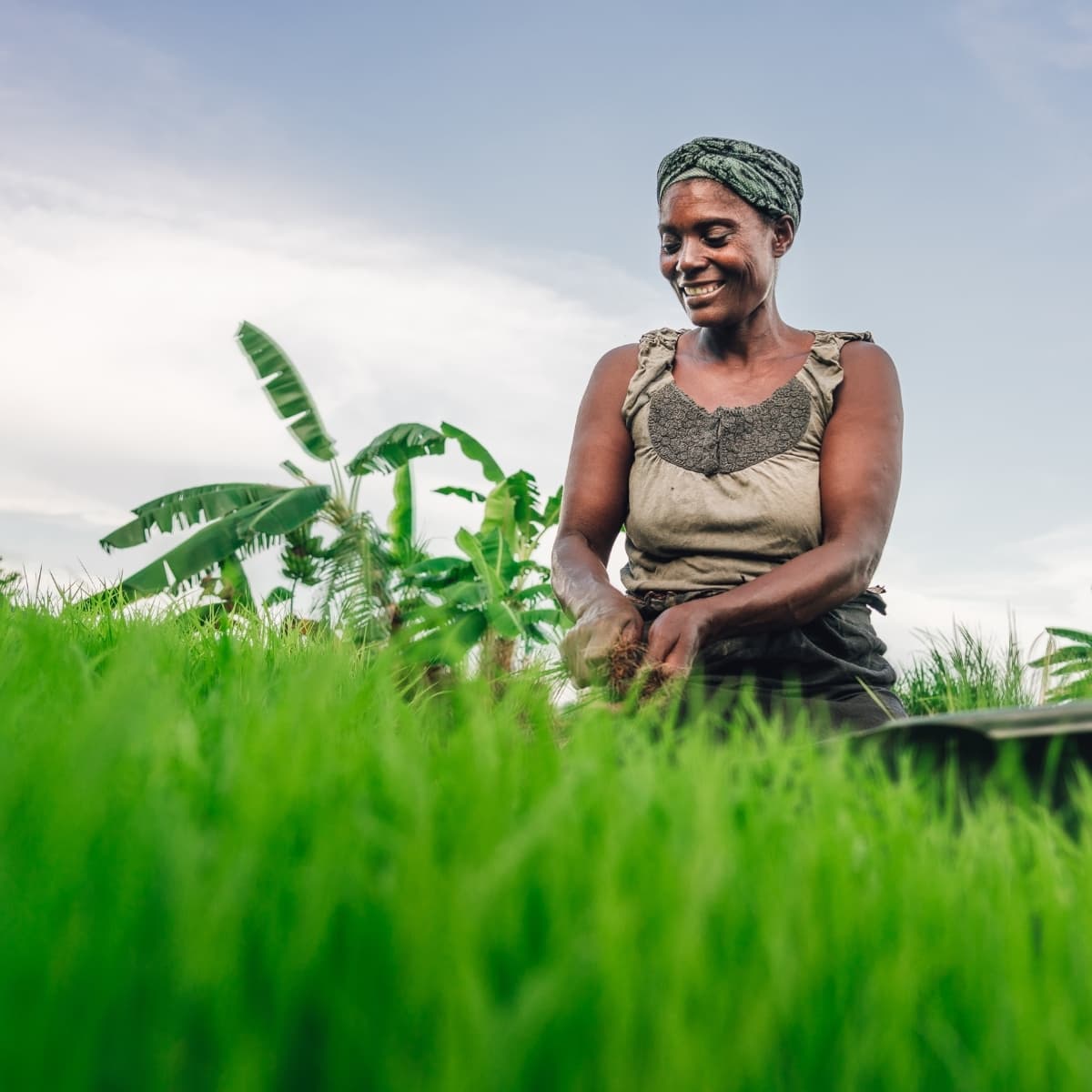 Environmental Background